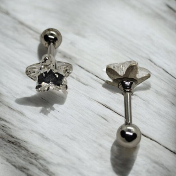 “Stainless steel star crystal screw-back earrings”